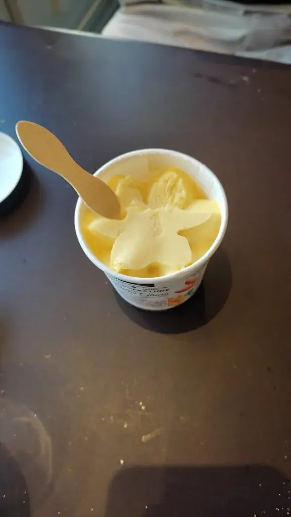 Laetitia Fleury Galliet Breizh_Le Comptoir à Pizzas_Arbois_review