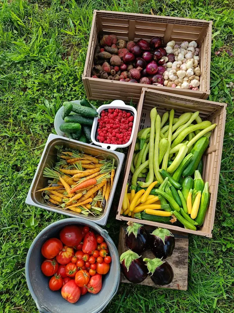 Le Comptoir Kokagué_Mouchard_slider_image_3