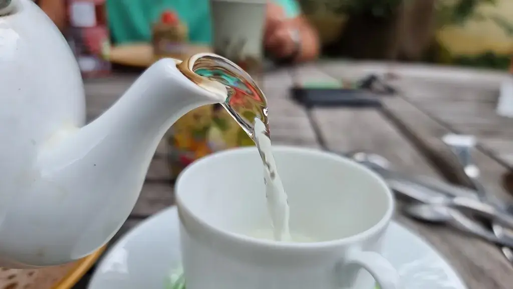 Menu_Le poirier au loup, rest-ô-livre_Avallon_image_1