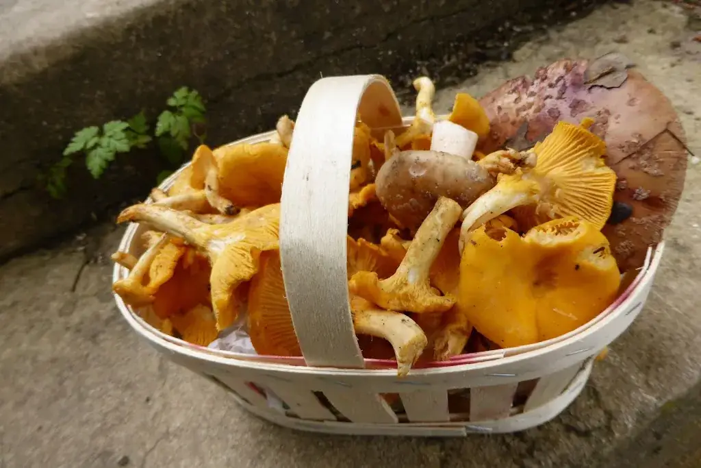 Menu_Le poirier au loup, rest-ô-livre_Avallon_image_9