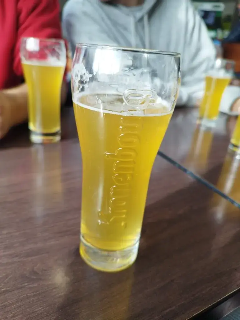 Louis Caparros_Brasserie du Chemin de Fer_Oyonnax_review