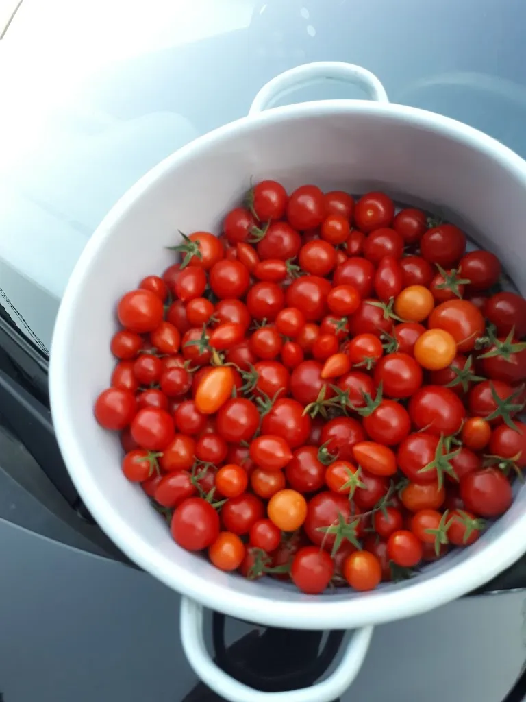 Menu_Auberge du Troulot_Mandeure_image_5