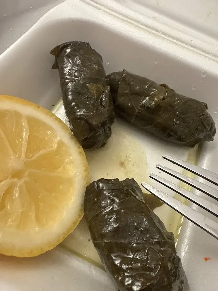 ikram_Restaurant Munzur_Audincourt_review