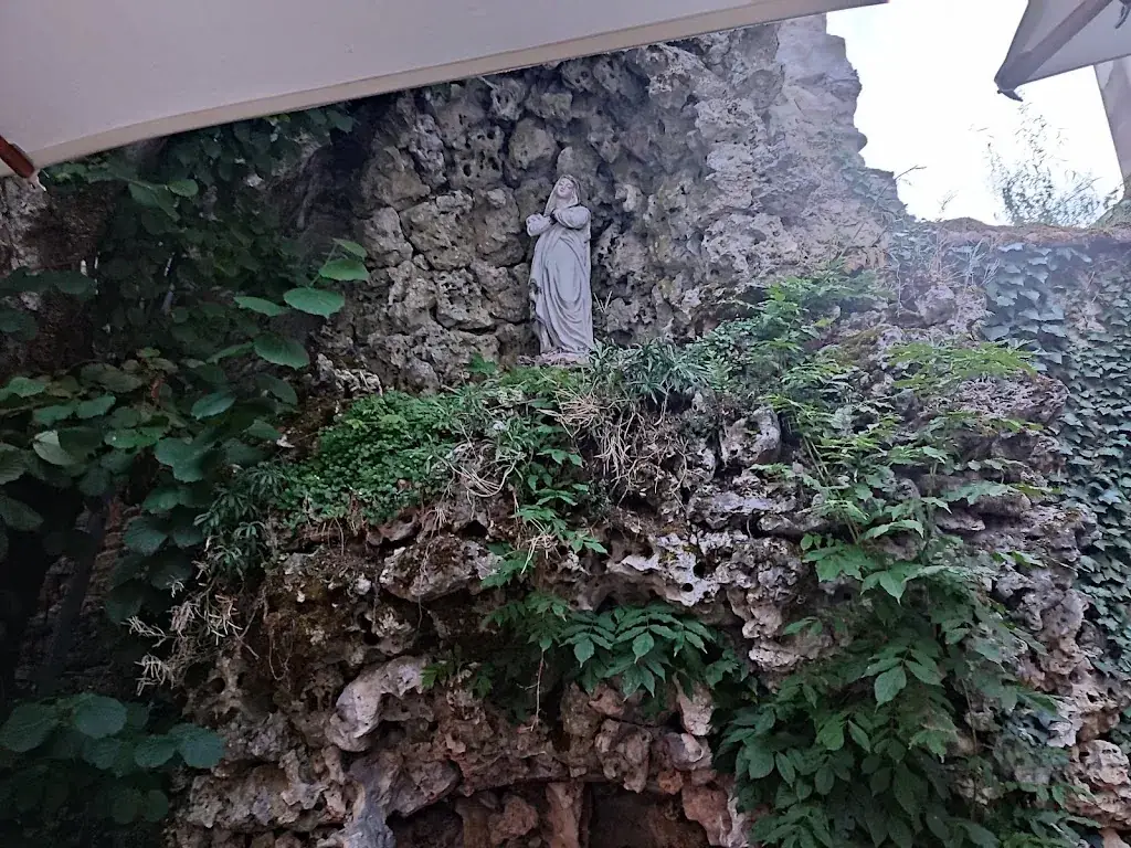 gilles vaillant_Le Cocand_Autun_review