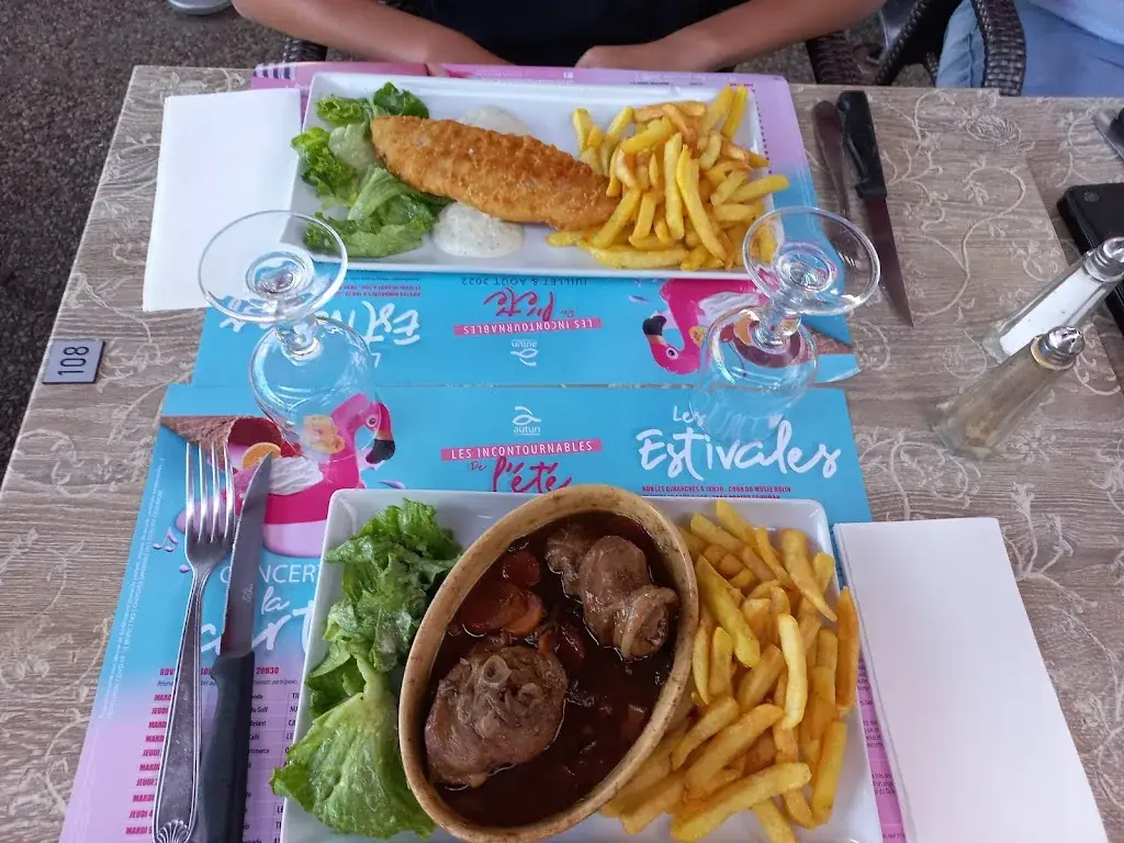 Char Verhoeven_Brasserie Le Commerce_Autun_review