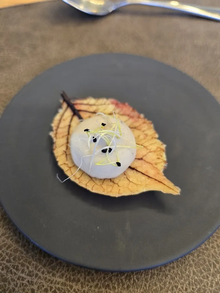 Donatella Pistone_Restaurant du Cloître de Bourbon-Lancy_Bourbon-Lancy_review