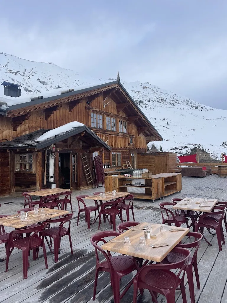 Harry_Le Chalet des Verdons Sud_Champagny-en-Vanoise_review