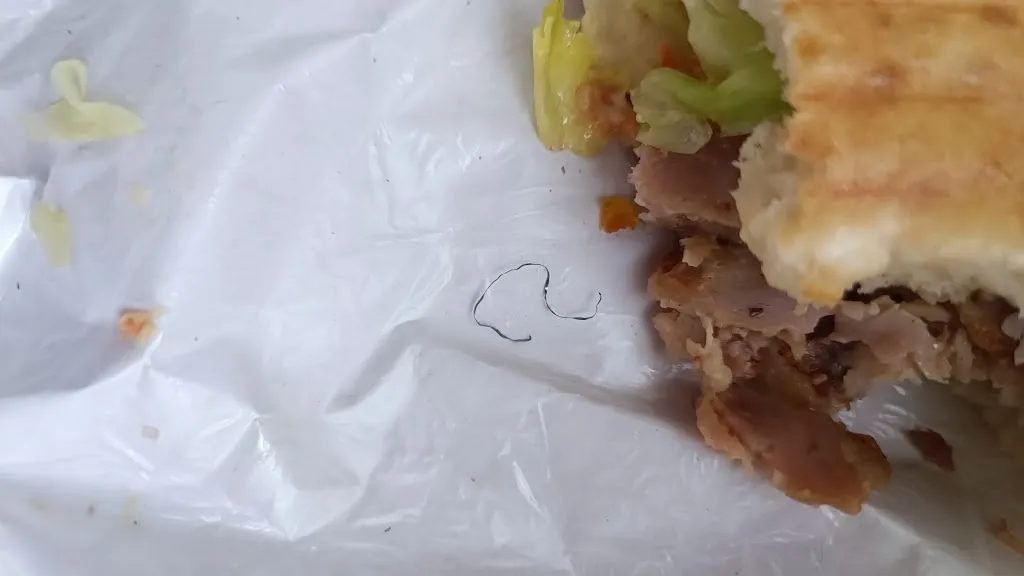 YAOUI yaele_Le Bosphore Kebab_Brienon-sur-Armançon_recensione