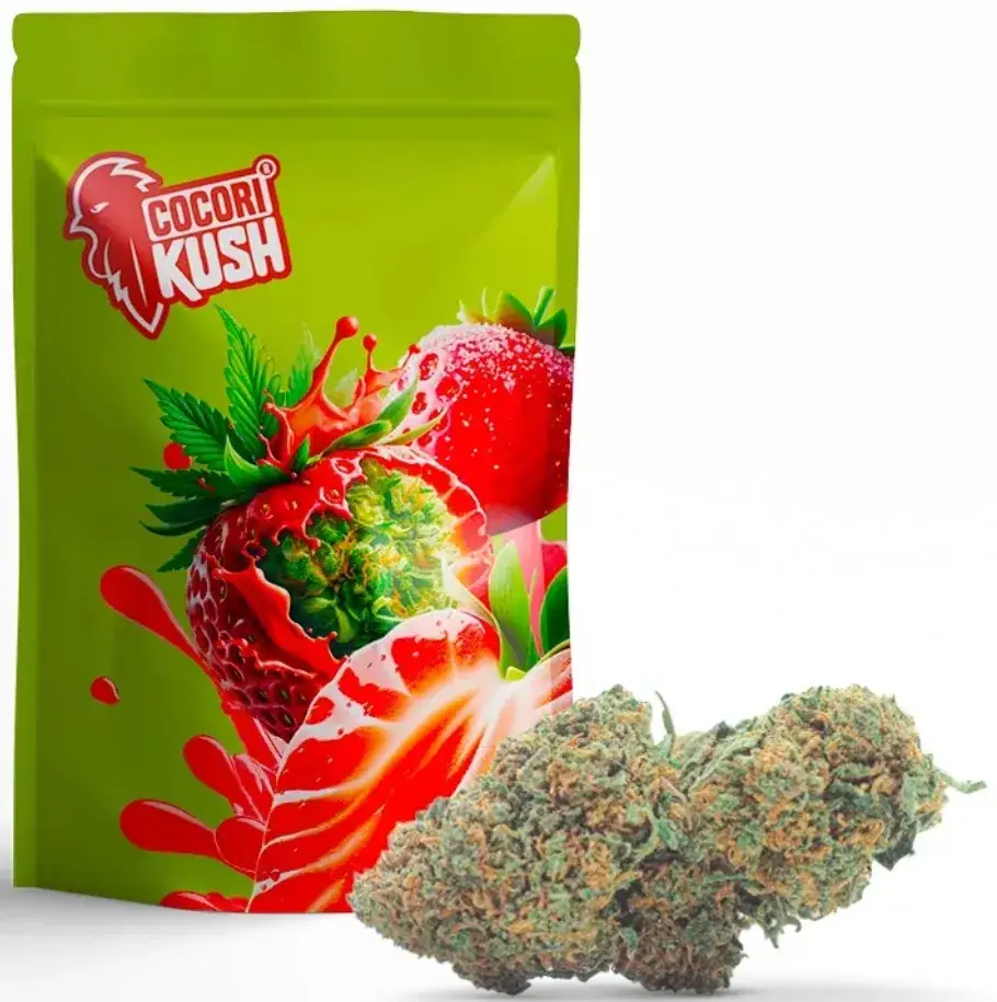 Menu_Bar Tabac Monjaux_Brienon-sur-Armançon_immagine_1