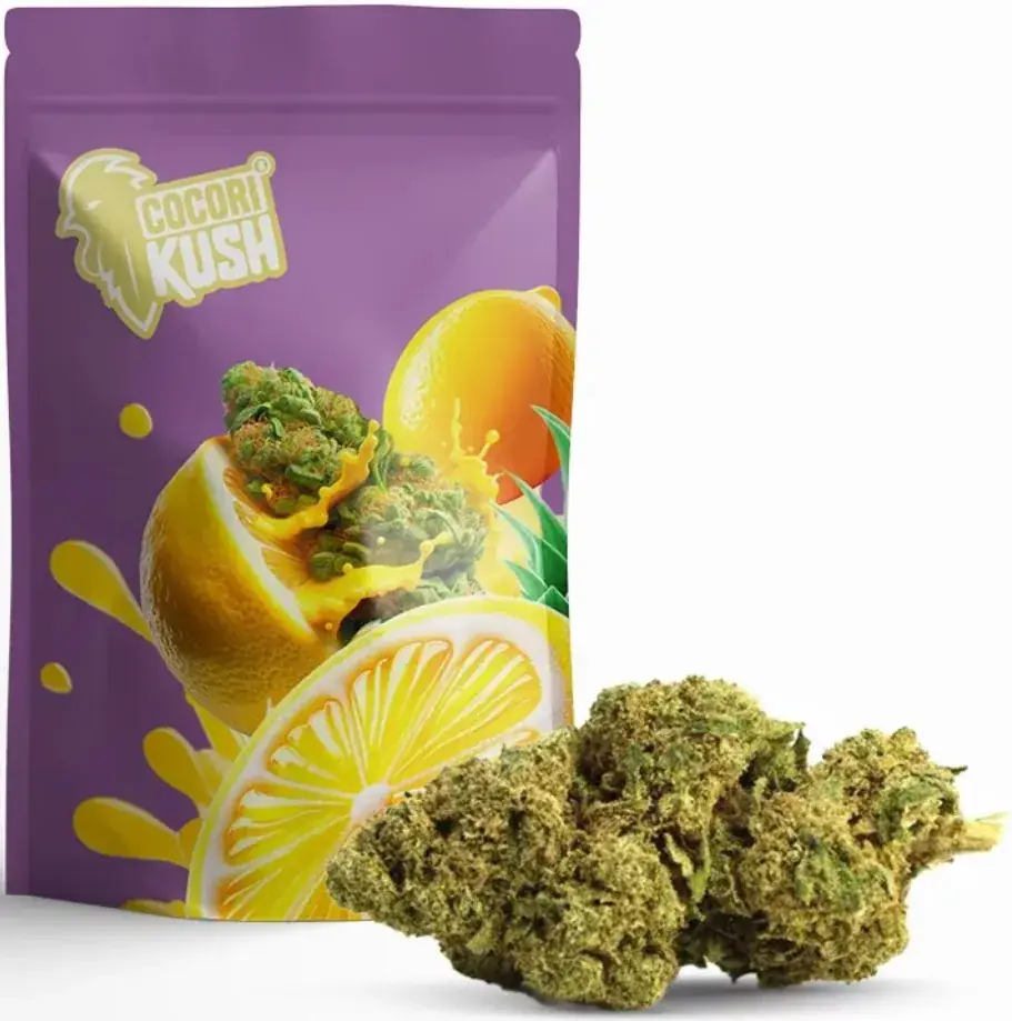 Menu_Bar Tabac Monjaux_Brienon-sur-Armançon_immagine_2