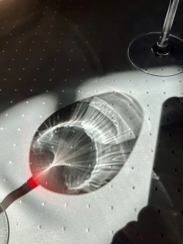 Maurice Delauzun_Le Relais Poyaudin_Champignelles_review