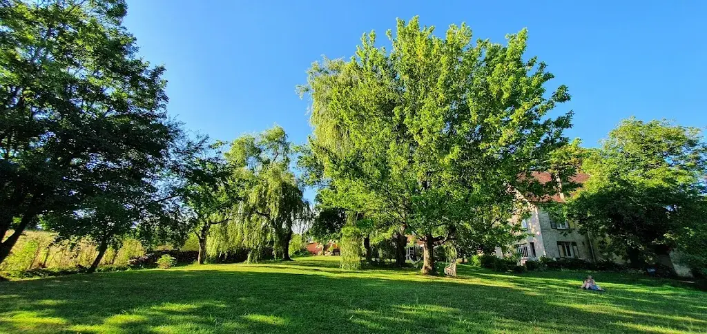 Franck_Chez Sophie_Sagy_recensione