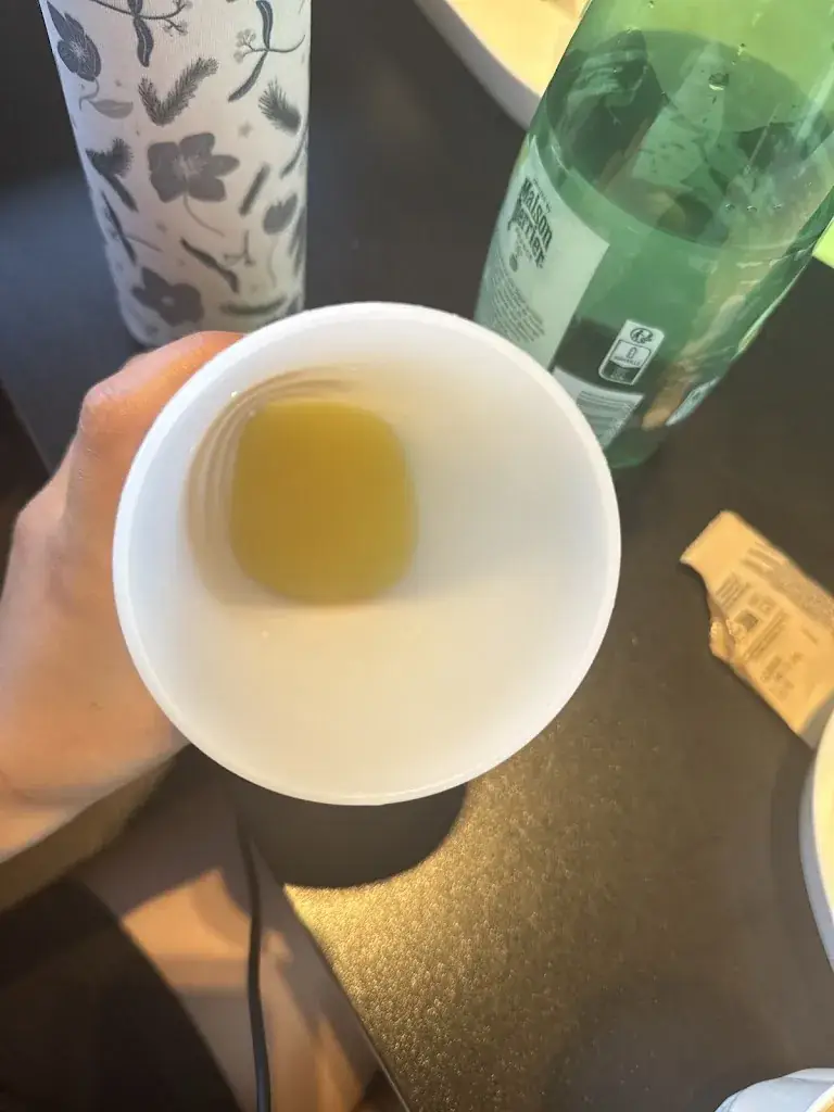 Sami_McDonald's_Chauffailles_review