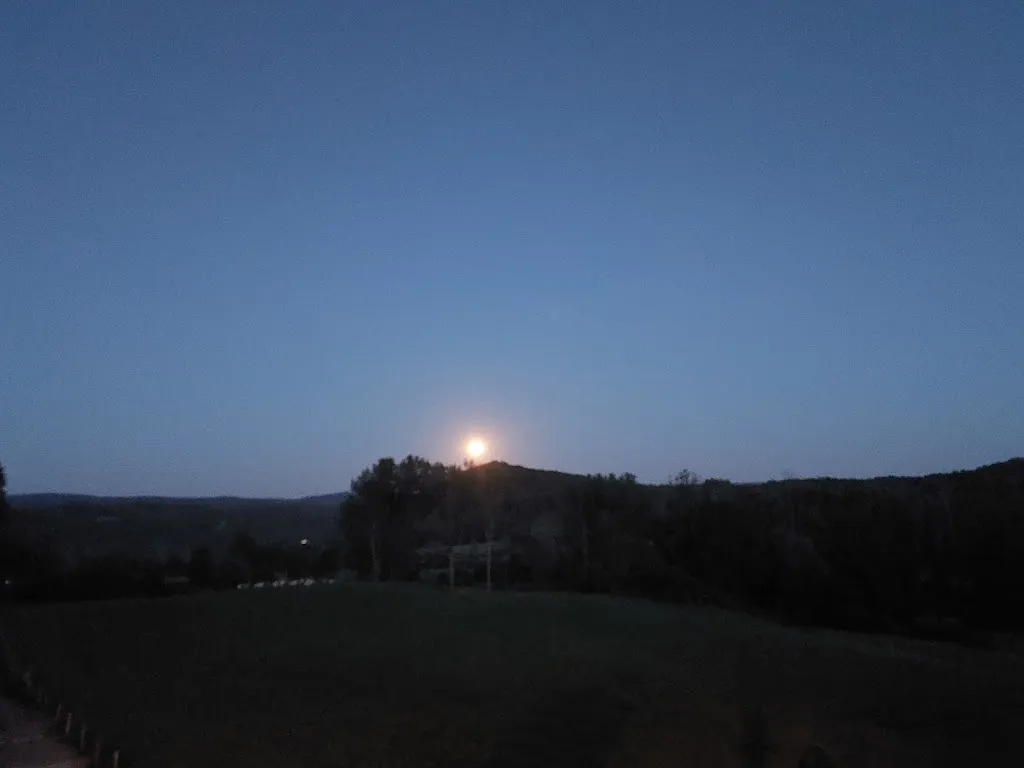 Yoann Malard_Restaurant Brasserie - EMB L'EMBUSCADE à Doucier_Doucier_review