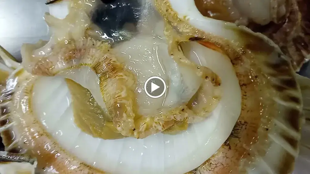 Le Chai ALTER Égo_Chalon-sur-Saône_slider_image_2