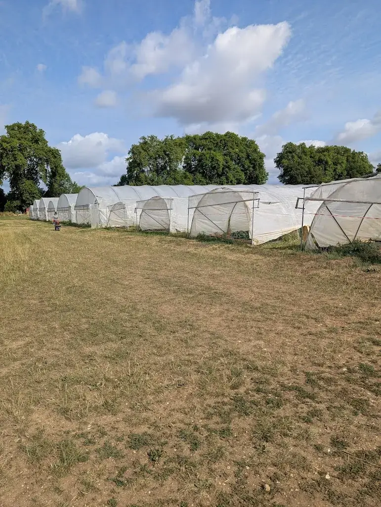 JEANMY M_La ferme du château_Chevigny-Saint-Sauveur_review