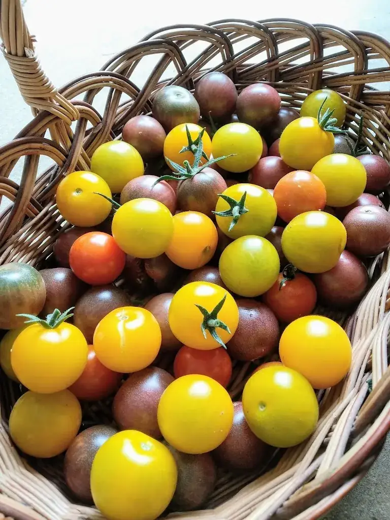 Anne-Charlotte SAPIN_La ferme du château_Chevigny-Saint-Sauveur_review