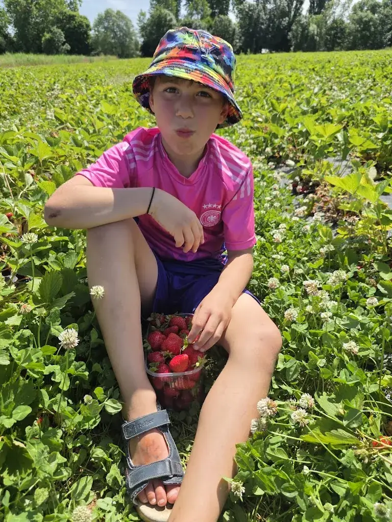 Aude Baykan_La ferme du château_Chevigny-Saint-Sauveur_review