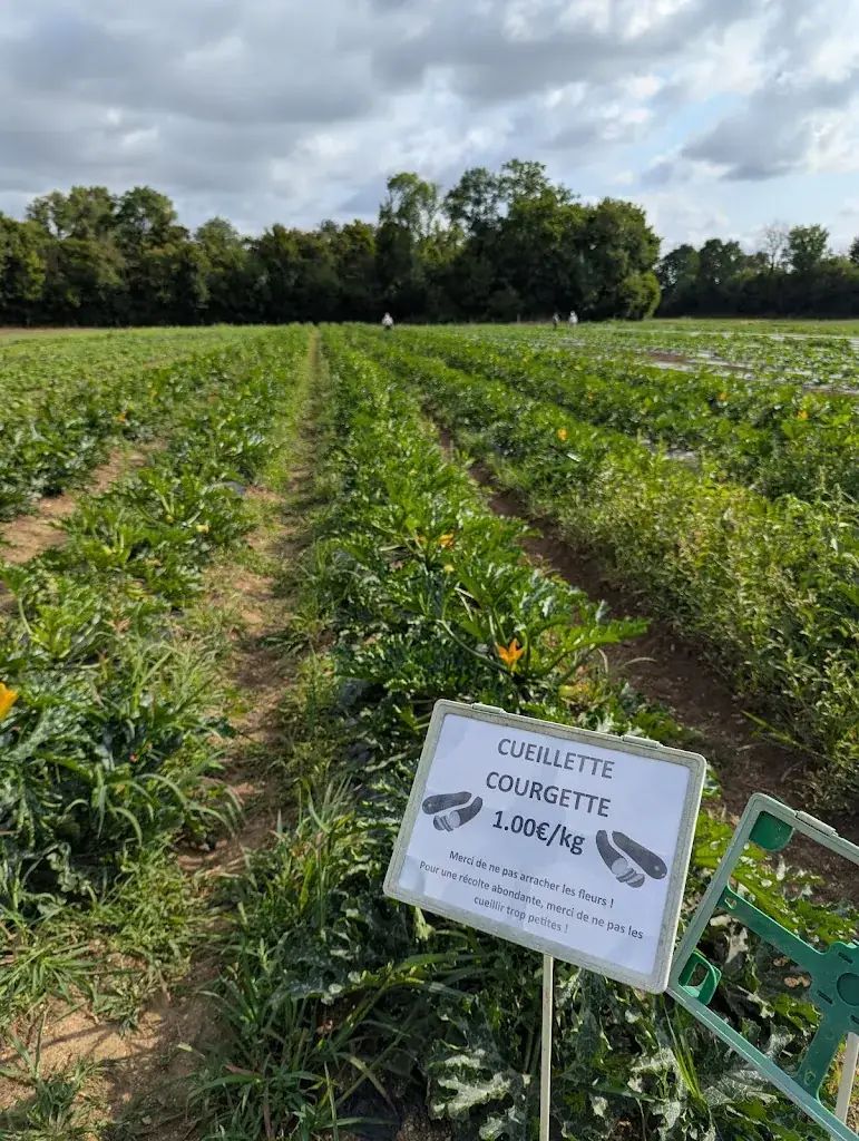 La ferme du château restaurant in Chevigny-Saint-Sauveur