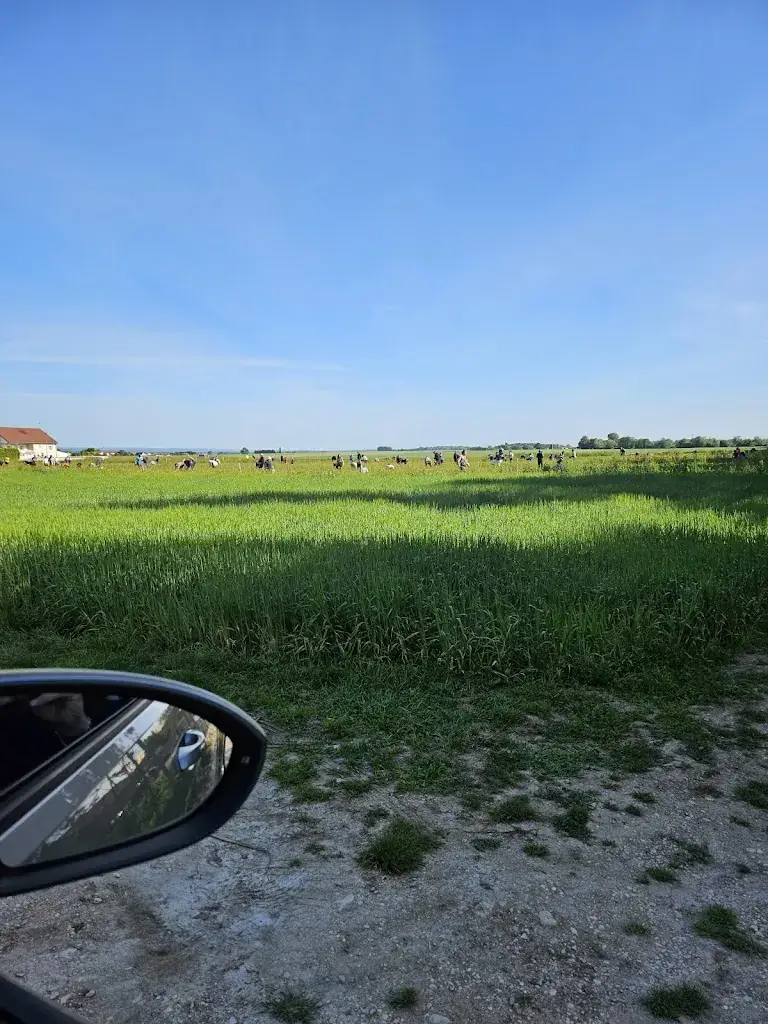 La ferme du château_Chevigny-Saint-Sauveur_slider_image_3