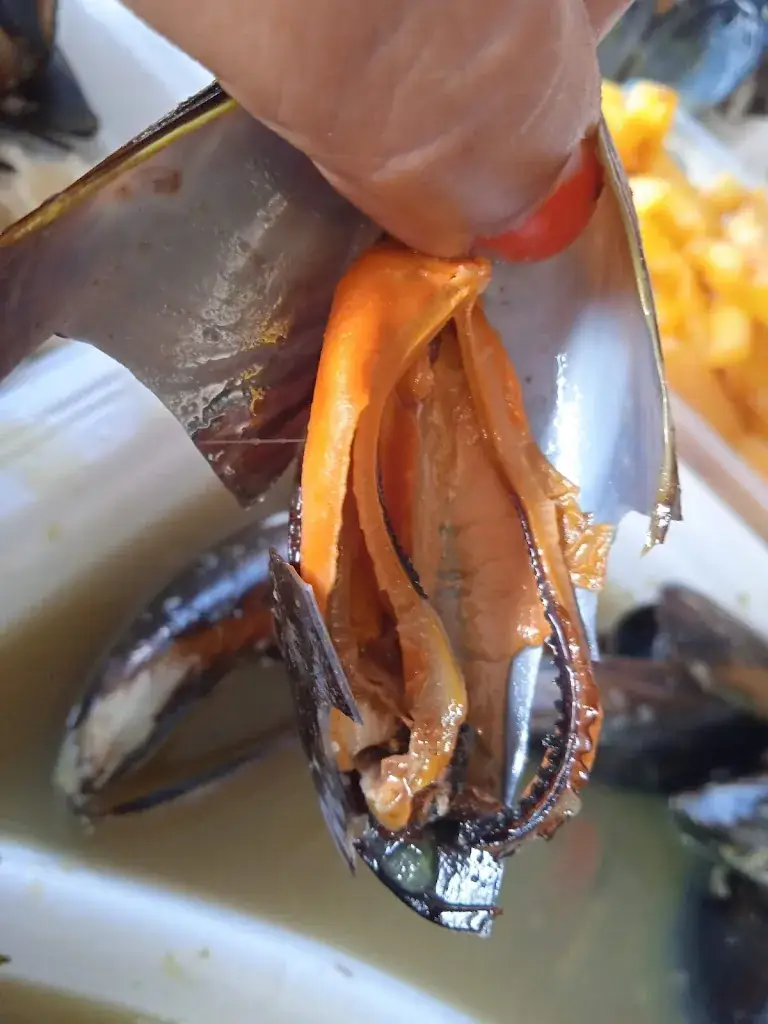 Menu_FD snack - kebab_Cuisery_image_2