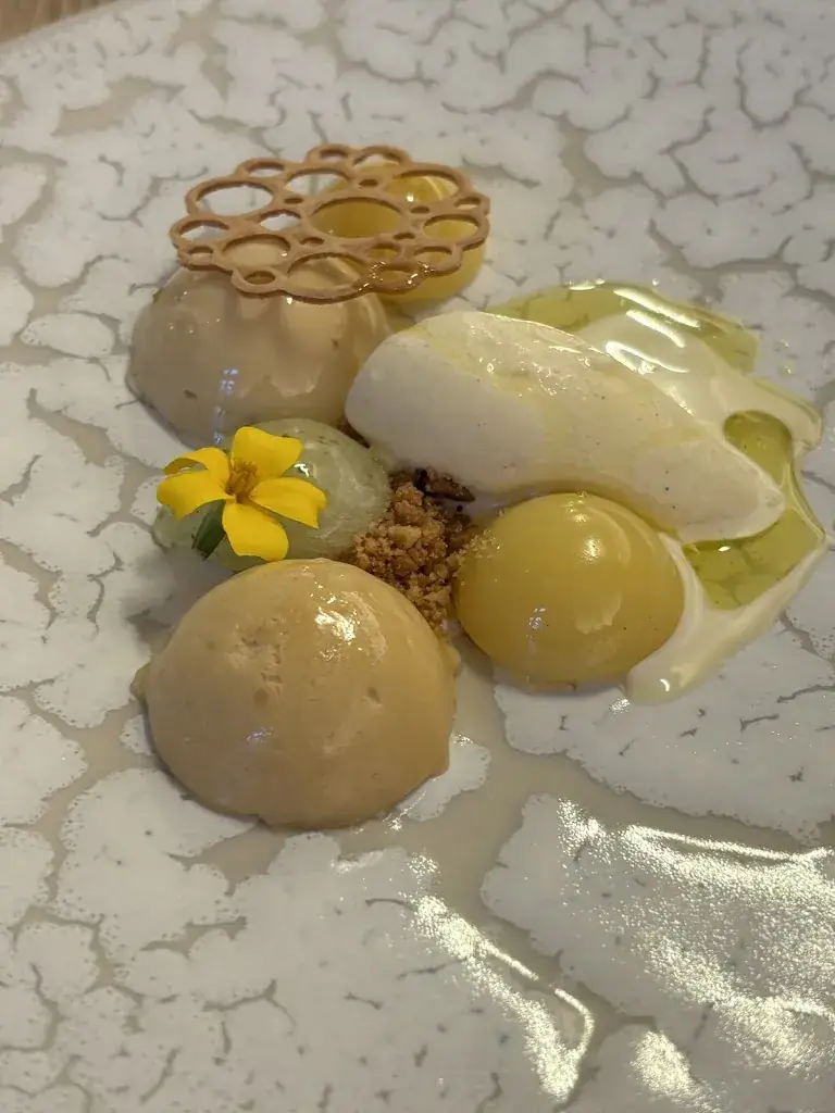 Tori F_La Table des Climats_Dijon_review