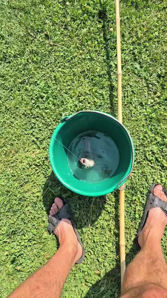 La Truite du Père Eugène_Beaumont-lès-Valence_slider_image_2