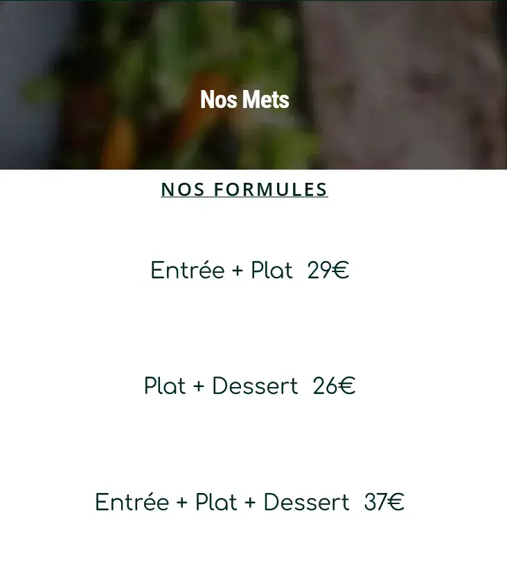Menu_Les Platanes_Crêches-sur-Saône_image_3