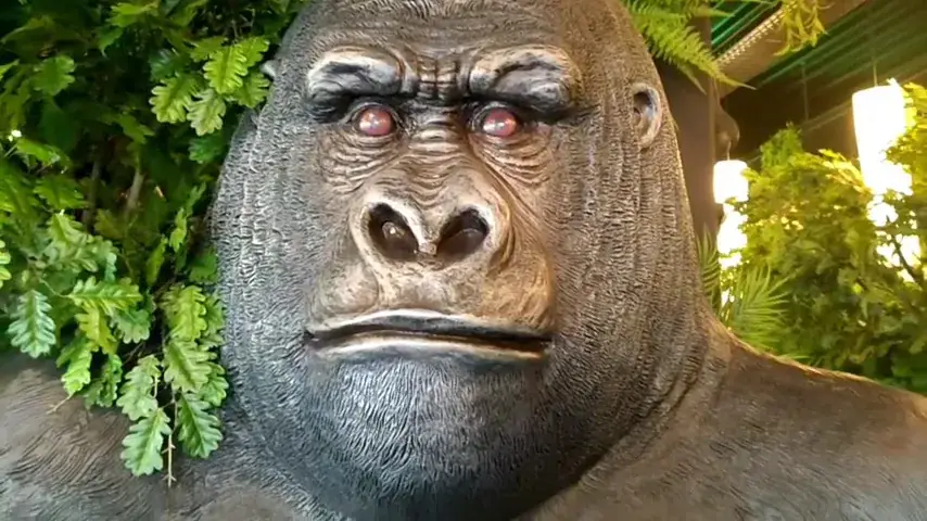 PIWI'Z CRECHES SUR SAONE_Crêches-sur-Saône_slider_image_2