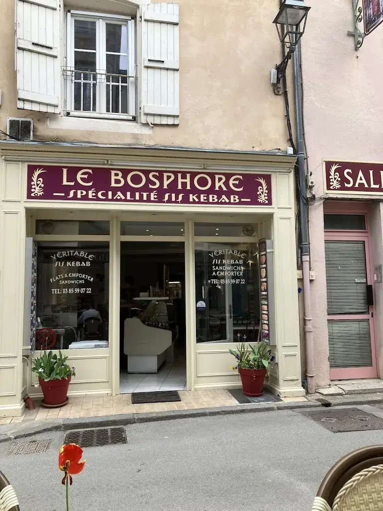 Marcel Hoornweg_Le Bosphore_Cluny_avis