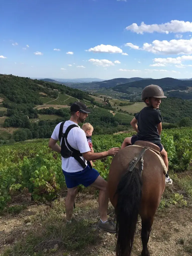 Bernard McVeigh_L'étape Cavalière_Beaujeu_review