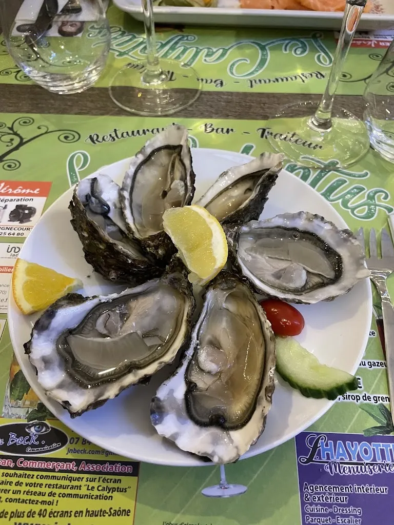 Sylvie Pascalon_Le Calyptus_Faverney_review