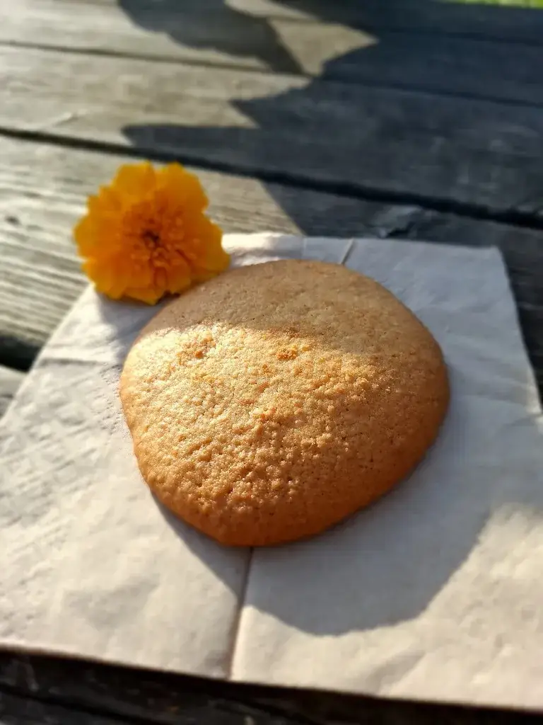 Catherine Brosselin_JULIA'S TRUCK_École-Valentin_review