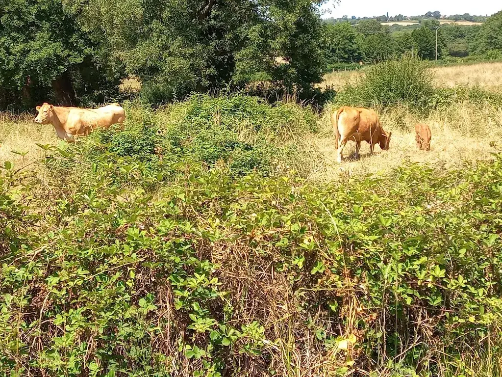 Le Campagnard_Fougerolles_slider_image_3