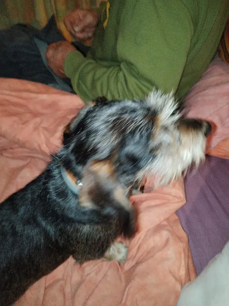 Jean louis Delabeye_Ô FONTAINES CAFÉ_Fontaines-sur-Saône_recensione