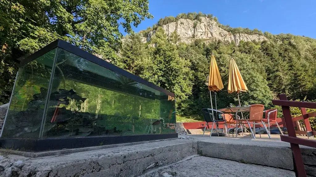 Romain Belotti_Restaurant La Cascade à La Frasnée Jura_Frasnée_review