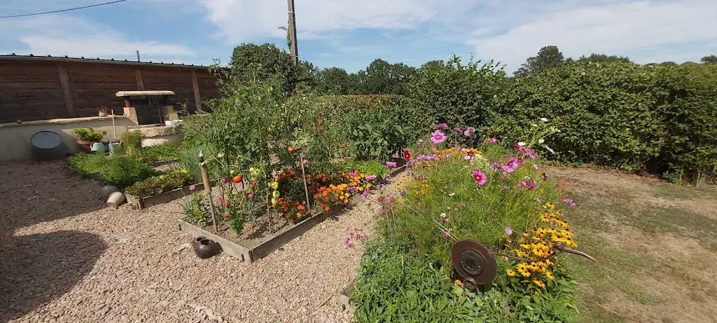 Victa Sempre_L'Auberge de Vigny_Digoin_recensione