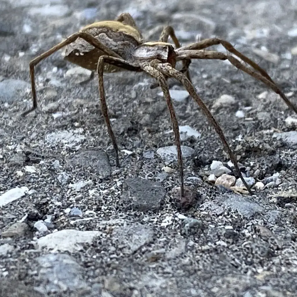 Jerome G_Auberge de l'Ange_Albeuve_Bewertung