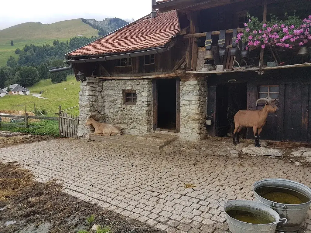 la Renardière_Albeuve_slider_image_1