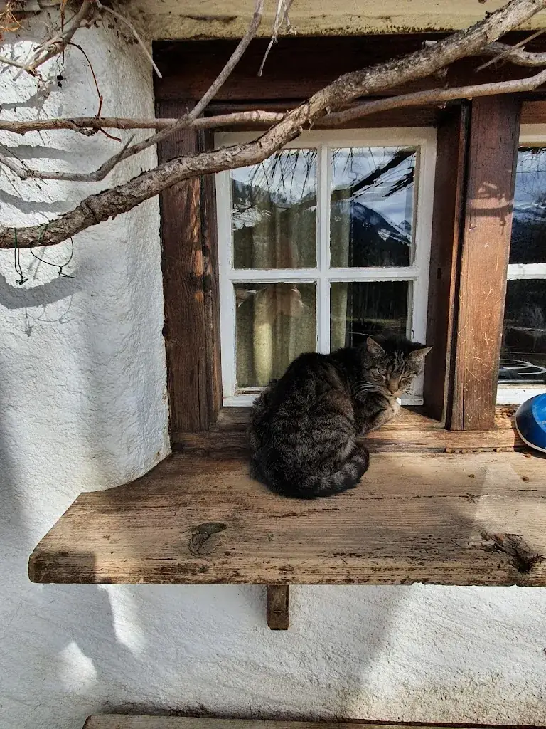 la Renardière_Albeuve_slider_image_3