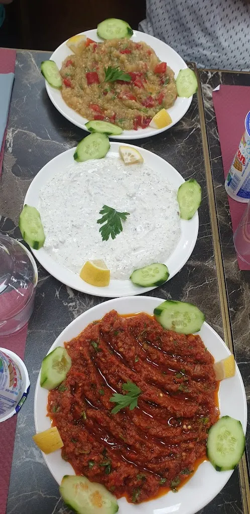 Rukiye AKCAGLAR_Konak Grill Pontarlier_Pontarlier_recensione