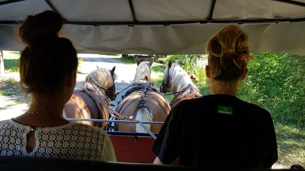 Jean Paul Voyat_Les Calèches du Saut du Doubs_Villers-le-Lac_review