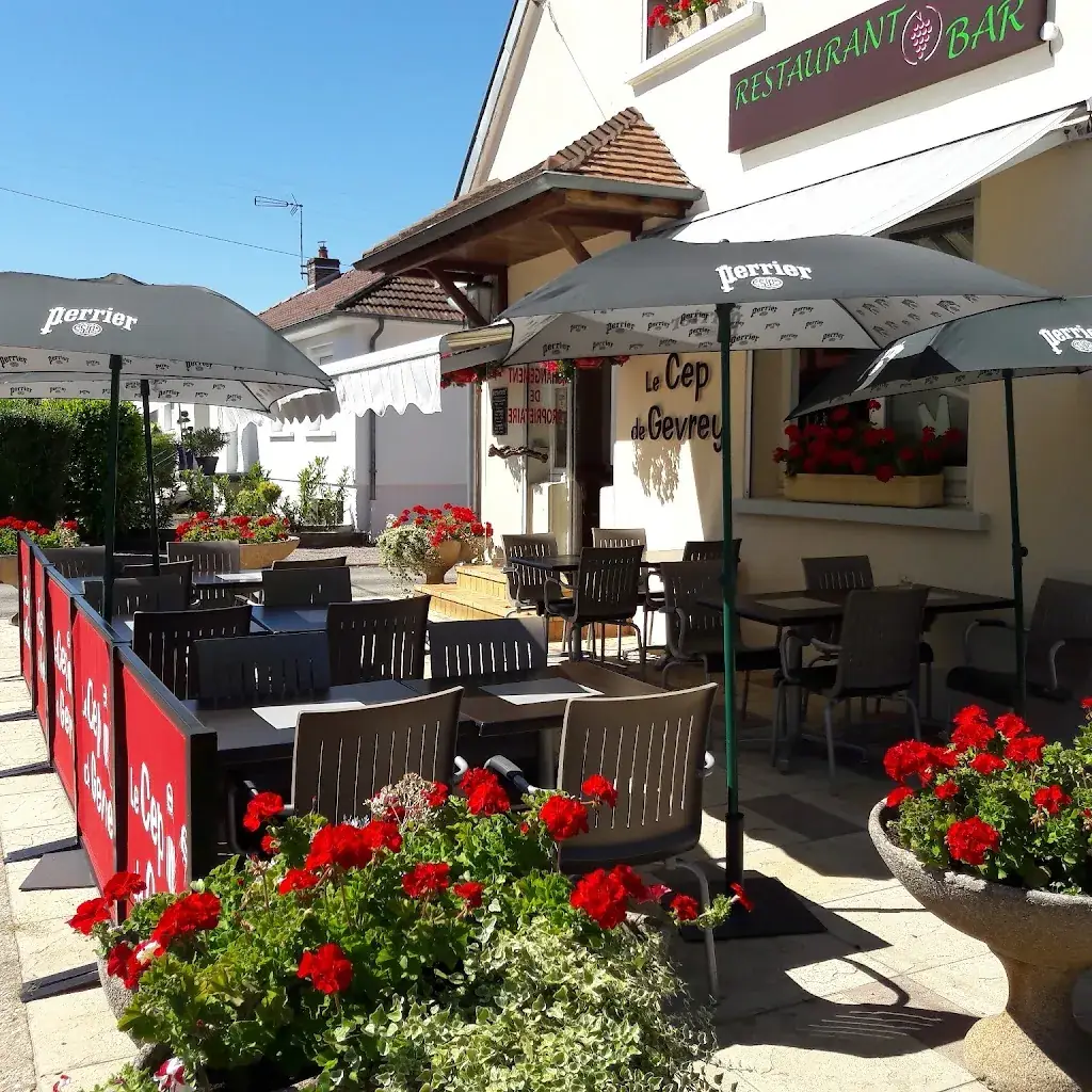 RESTAURANT LE CEP DE GEVREY_Gevrey-Chambertin_slider_image_3