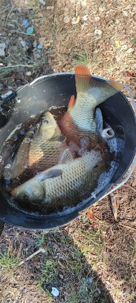 Gabriel_Parlons Vins, La Chapelle_Chapelle-de-Guinchay_review