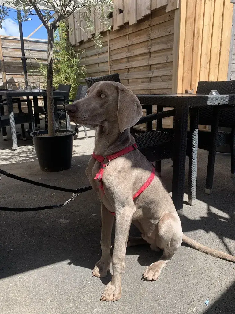 Wen-Chieh CHANG_Le rendez-vous des 2 roches_Prissé_review