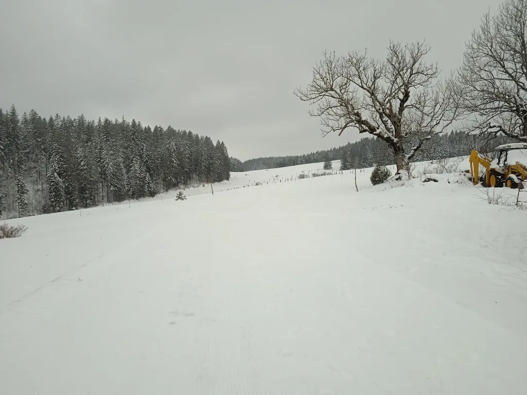 Christiane Maraux_Auberge du vourbey LES FOURGS 25_Fourgs_review