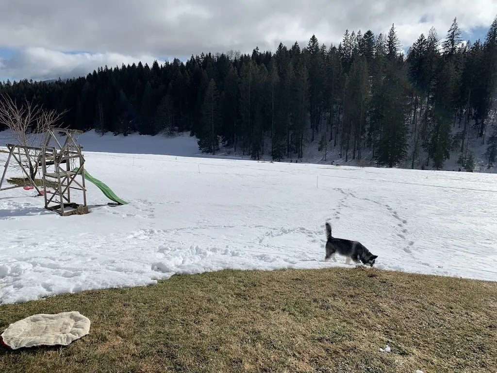 Auberge du vourbey LES FOURGS 25_Fourgs_slider_image_3