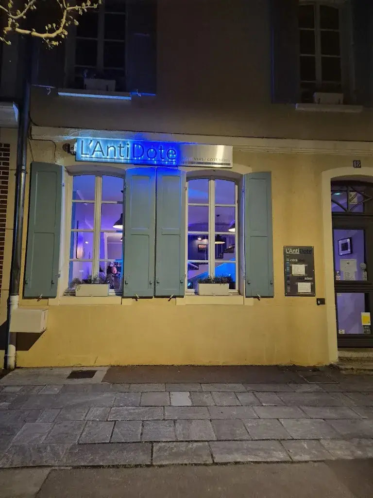 thierry paniz_L'antidote_Joigny_review