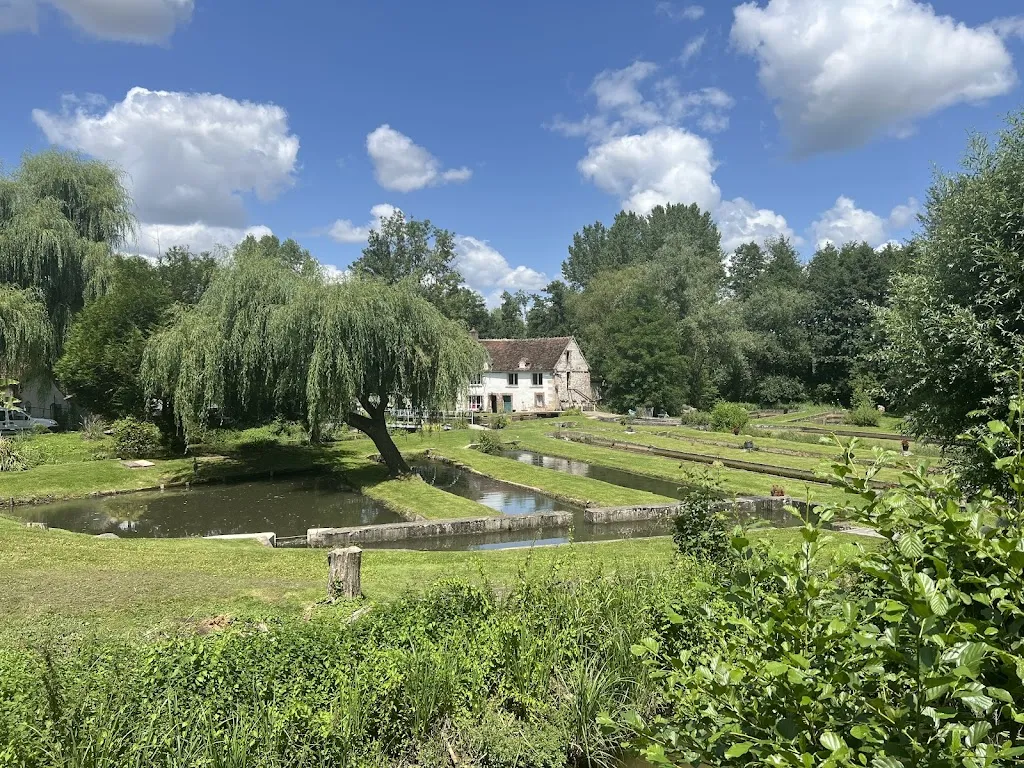 Restaurant du Moulin_Paroy-sur-Tholon_slider_image_3