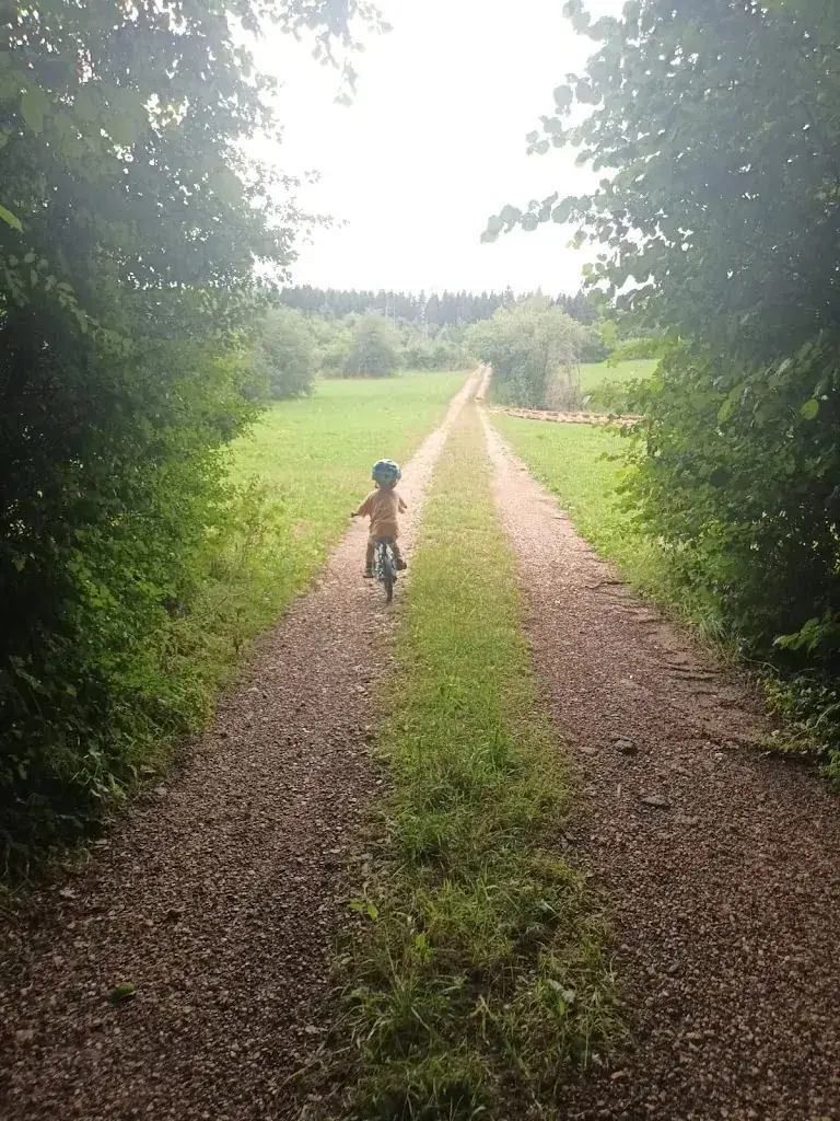 Daniel Williams_Camping de la Forêt_Levier_recensione